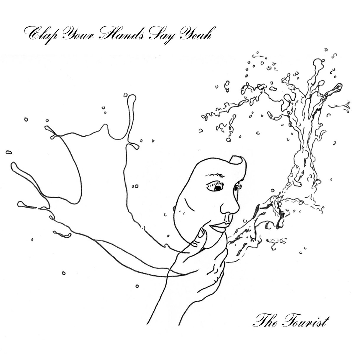 The Tourist by Clap Your Hands Say Yeah