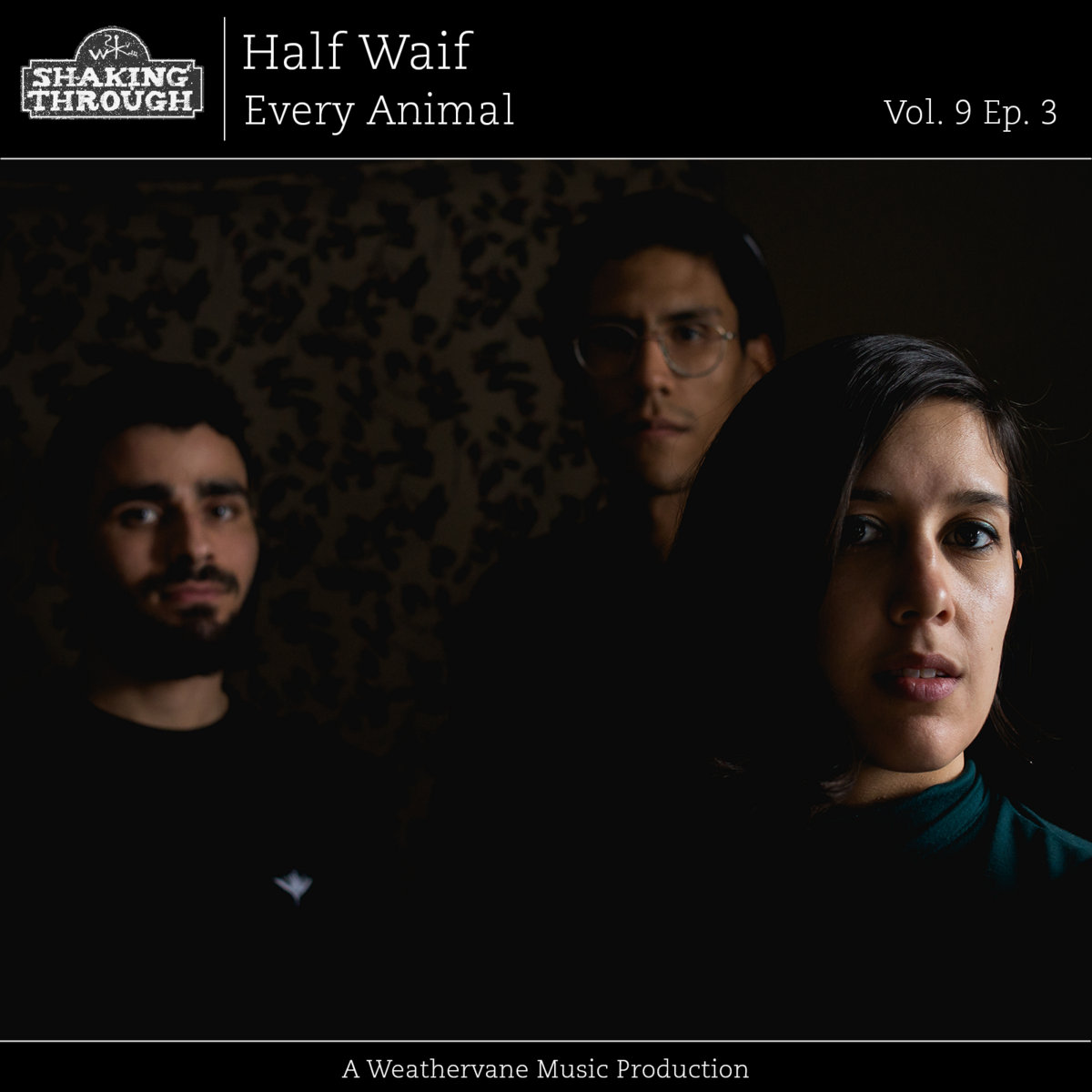 Every Animal by Half Waif
