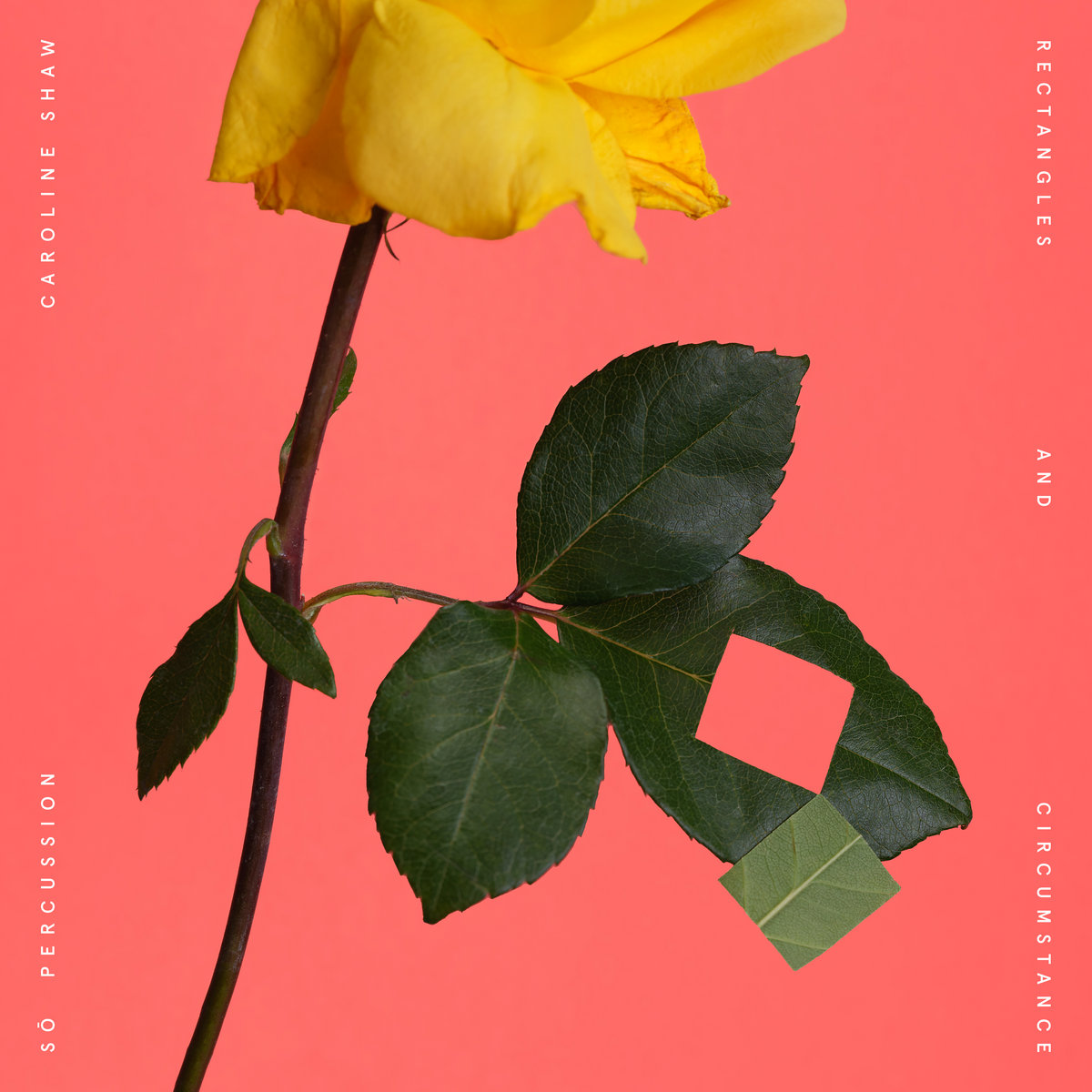 Rectangles and Circumstance by Caroline Shaw & Sō Percussion